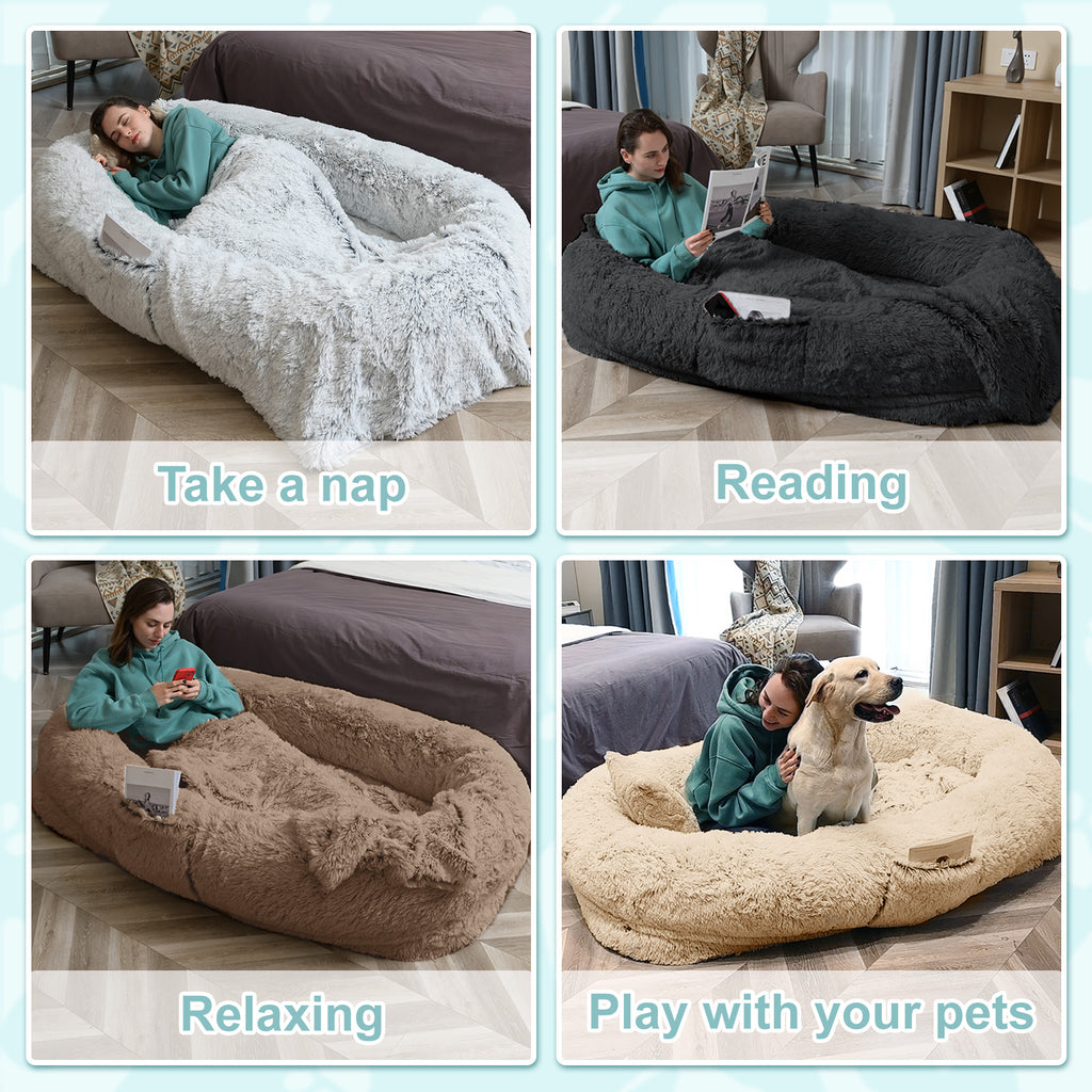 Human-size dog bed dimensions