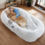 Woman relaxing on human-size dog bed with golden retriever, overhead view