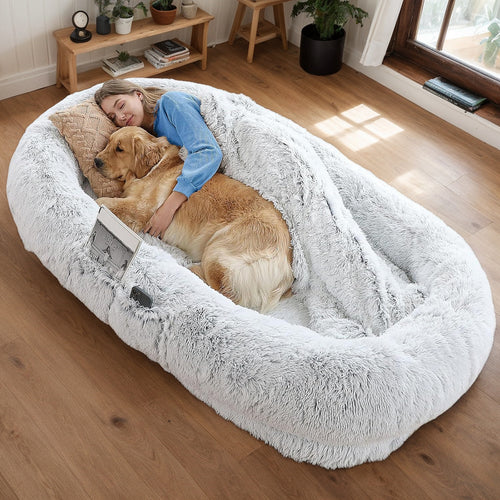 Woman relaxing on human-size dog bed with golden retriever, overhead view