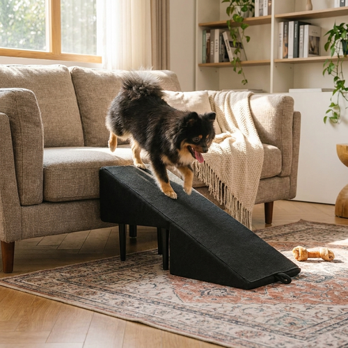 Convertible Dog Ramp & Step Stool