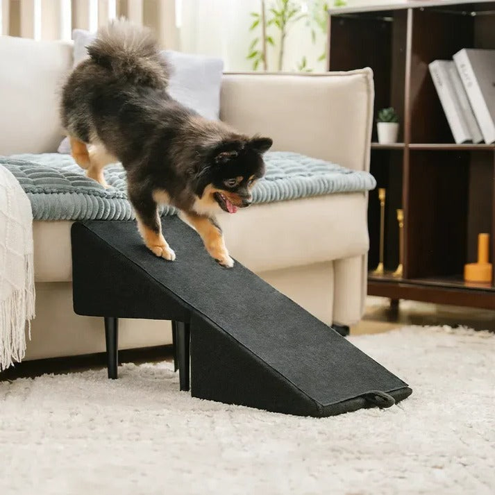 Convertible Dog Ramp & Step Stool