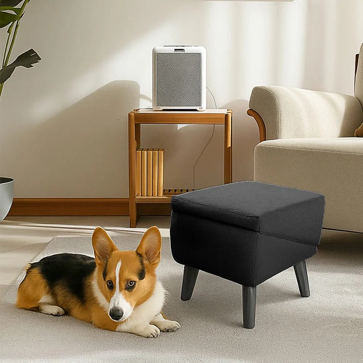 Convertible Dog Ramp & Step Stool